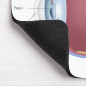 Human Eye Anatomy Mousepad Muismat (Hoek)