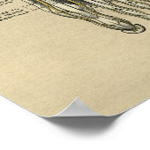 Human Foot Anatomy 1902  Print (Hoek)