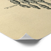 Human Foot Anatomy 1902  Print (Hoek)