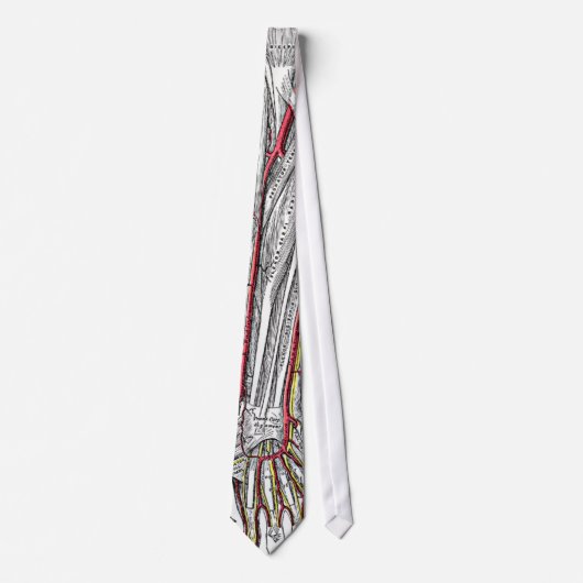 Human Forearm and Hand Botten and Arteries stropda Stropdas (Voorkant)