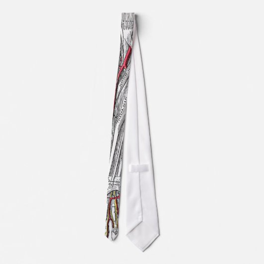 Human Forearm and Hand Botten and Arteries stropda Stropdas (Achterkant)