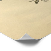 Human Hand Anatomy 1902  Print (Hoek)