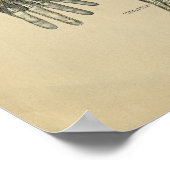 Human Hand Anatomy 1902 Print (Hoek)