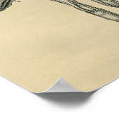 Human Hand Anatomy 1902 Print (Hoek)