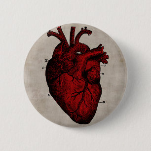 Human Heart Button