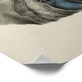 Human Heart Chest Anatomy  Print (Hoek)