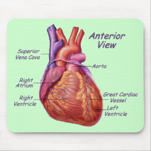 Human Heart gelabeld Mousepad Muismat
