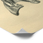 Human Neck Anatomy 1902  Print (Hoek)