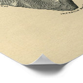 Human Scapula Anatomy 1902 Print (Hoek)