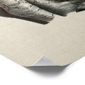 Human Shoulder Anatomy  Print (Hoek)