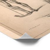 Human Skeleton Anatomy Art Print 1827 (Hoek)