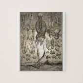 Human Skeleton ca 1741 Legpuzzel (Verticaal)