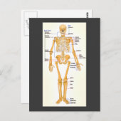 Human Skeleton gelabeld Briefkaart (Voorkant / Achterkant)