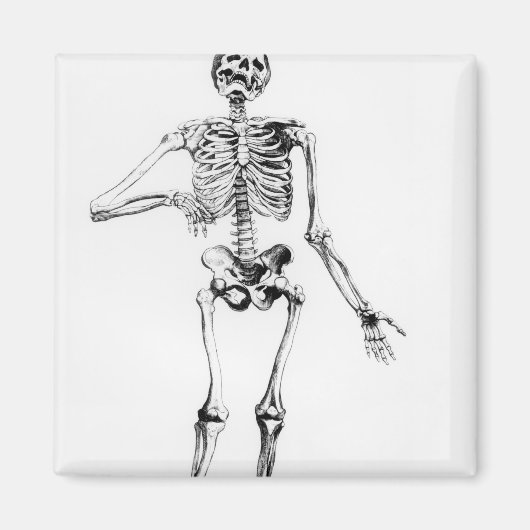 Human Skeleton Magneet (Voorkant)