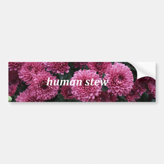 Human Stew Bumpersticker (Voorkant)