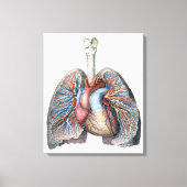 humane anatomie longen hartorganen bloed canvas afdruk (Voorkant)