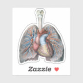  humane anatomie longen hartorganen bloed sticker (Vel)