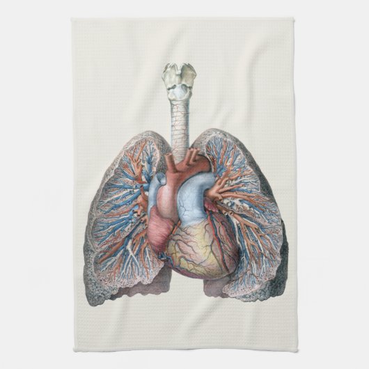 humane anatomie longen hartorganen bloed theedoek (Verticaal)