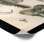  humane anatomie printskeleton Botten Poster (Hoek)