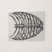  humane anatomie Skelet Skeletribben Botten Legpuzzel (Horizontaal)