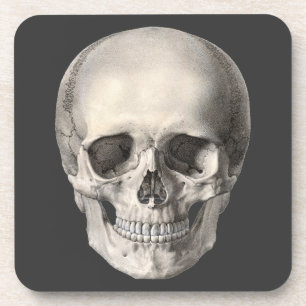  humane anatomische schedel, Halloween Skeleton Bier Onderzetter