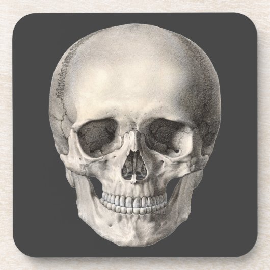 humane anatomische schedel, Halloween Skeleton Bier Onderzetter (Voorkant)