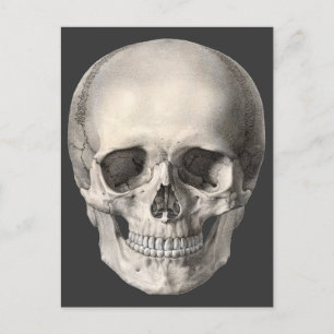 humane anatomische schedel, Halloween Skeleton Briefkaart