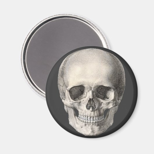  humane anatomische schedel, Halloween Skeleton Magneet (Voorkant / Achterkant)