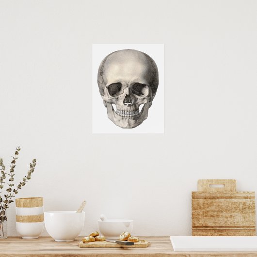humane anatomische schedel, Halloween Skeleton Poster (Keuken)