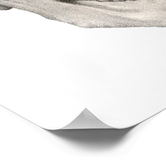  humane anatomische schedel, Halloween Skeleton Poster (Hoek)