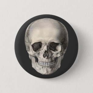 humane anatomische schedel, Halloween Skeleton Ronde Button 5,7 Cm