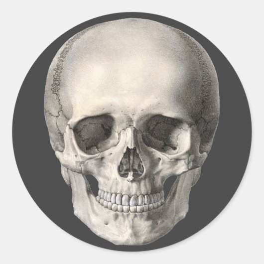  humane anatomische schedel, Halloween Skeleton Ronde Sticker (Voorkant)