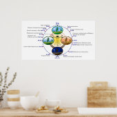 Humane Circadiaan Rhythm Biological Sleep Clock Poster (Keuken)