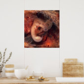 Humane embryo 7e week van de zwangerschap 5e week  poster (Keuken)