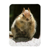 Humble Squirrel Magneet (Verticaal)