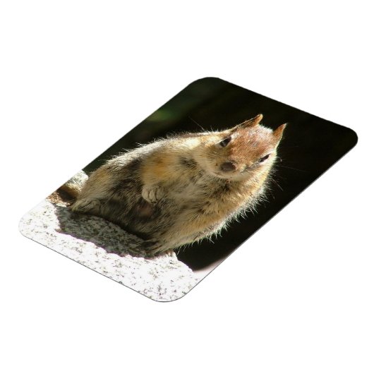 Humble Squirrel Magneet (Linkerzijde)