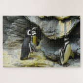 Humboldt Penguins. Legpuzzel (Horizontaal)