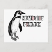 Humboldt pinguïn briefkaart (Voorkant)