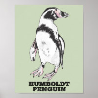 Humboldt pinguïn