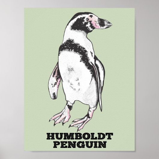 Humboldt pinguïn poster (Voorkant)