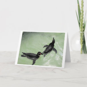 Humboldt pinguïns feestdagen kaart