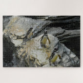Humboldt Pinguïns. Legpuzzel (Horizontaal)