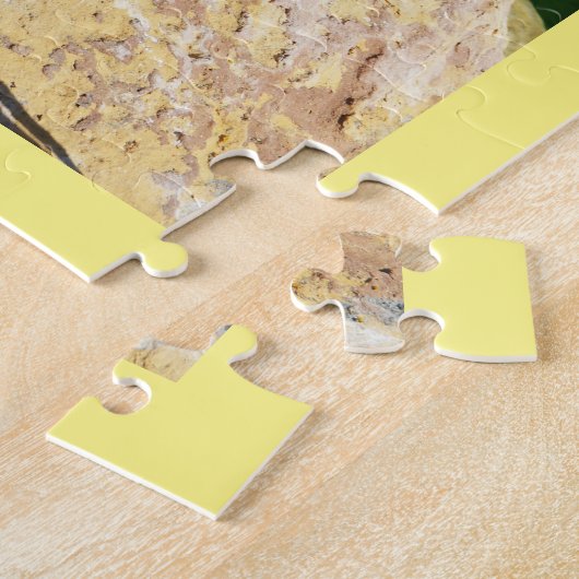 Humboldt pinguïns legpuzzel (Zijkant)