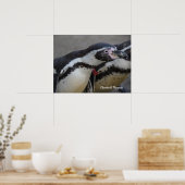 Humbolt Penguin in Drusillas Zoo in East Sussex Poster (Keuken)