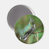 Humm, met rust magneet (Voorkant / Achterkant)