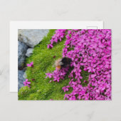 Hummel Briefkaart (Voorkant / Achterkant)