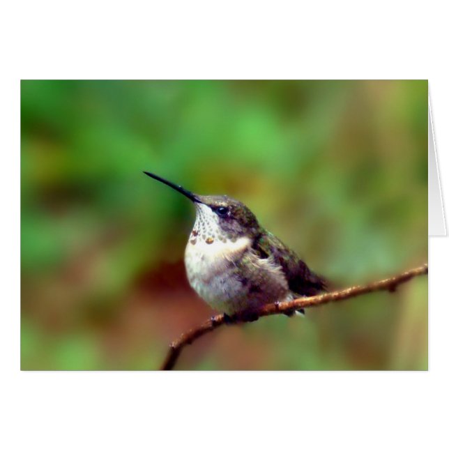 Hummer in rust (Voorkant Horizontaal)