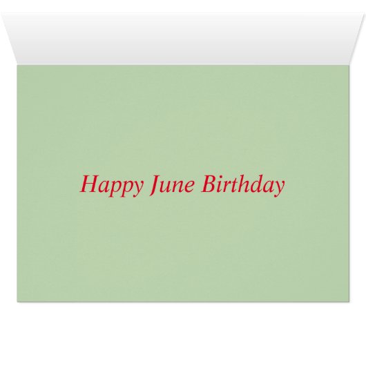 Humming Bird at Feeder (Intérieur Horizontal (Bas))