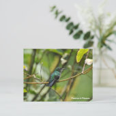 Humming Bird Briefkaart (Staand voorkant)
