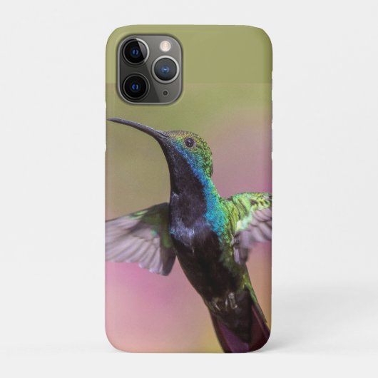 Humming Bird Case-Mate iPhone Case (Achterkant)
